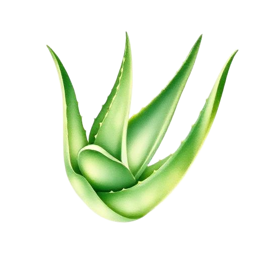 Aloe Nuance