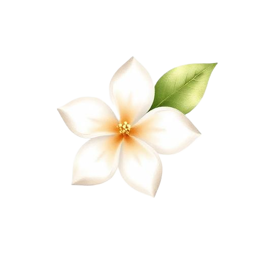 Jasmine Sambac