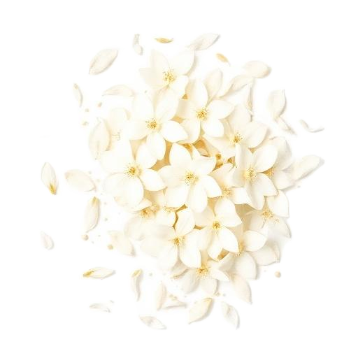 Jasmine Petals