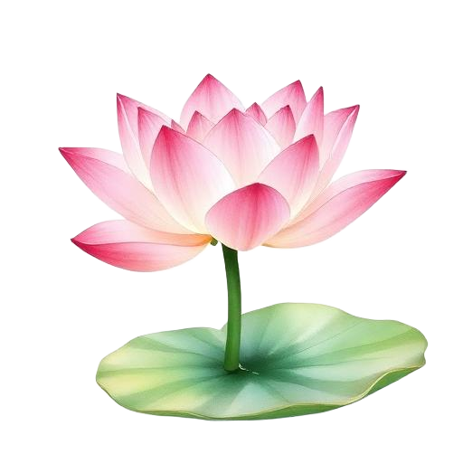 Lotus Flower
