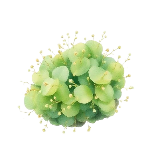 Moss