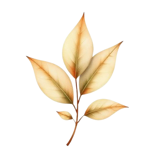 Spicy Woody Patchouli