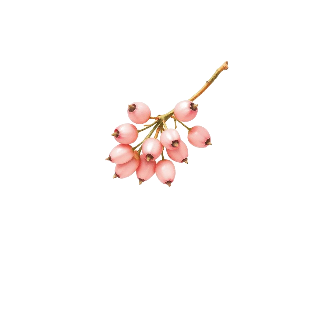 Pink Pepper