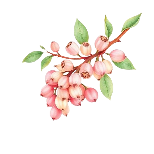 Pink & White Pepper