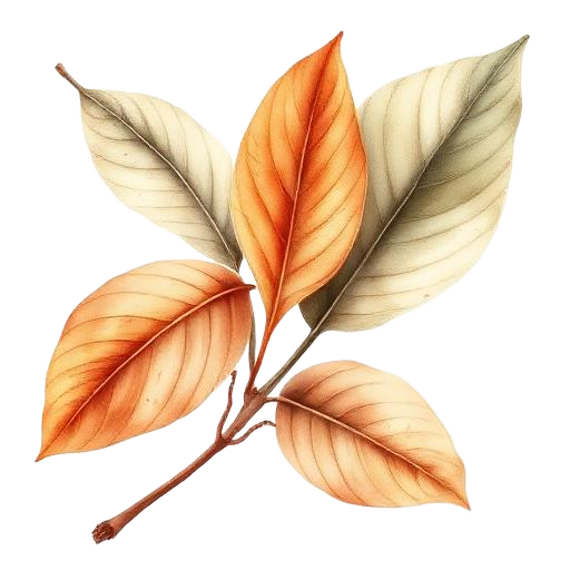 Tobacco
