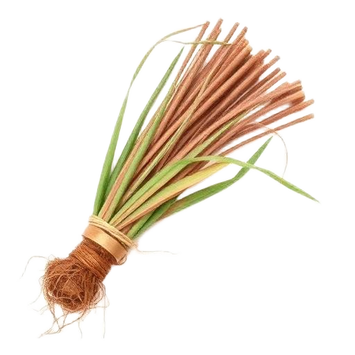 Vetiver
